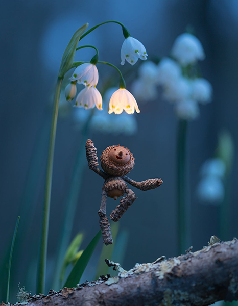 une forêt enchantée